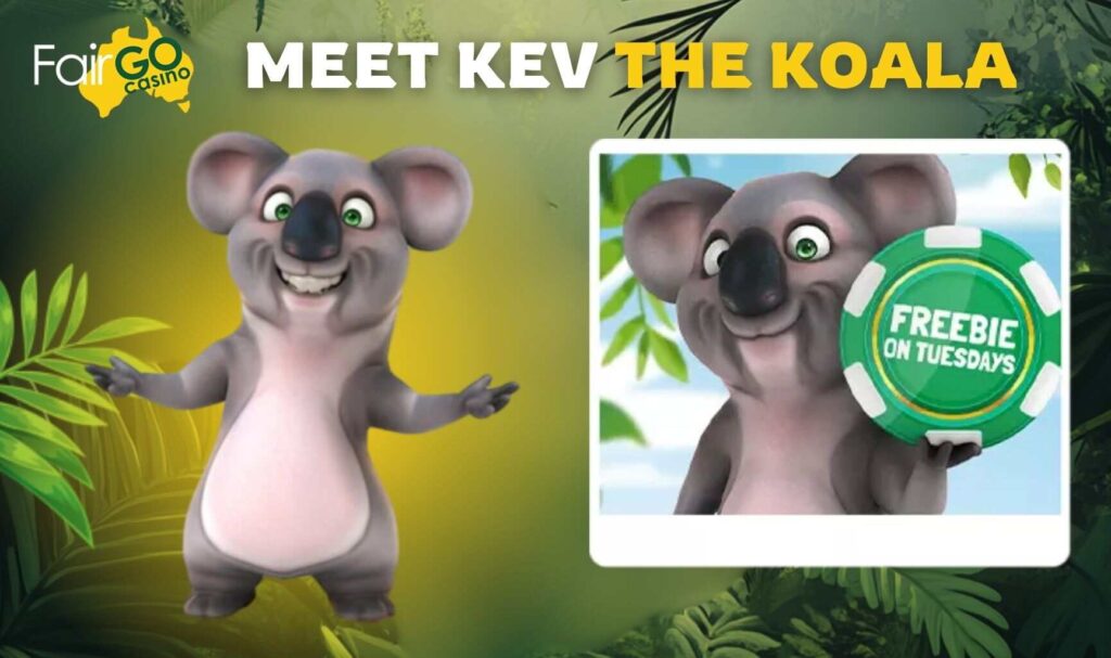 Fair Go Australia Meet Kev the Koala review