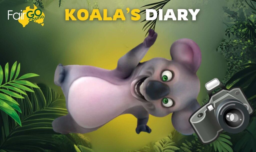 Fair Go Australia What is Koala’s Diary information